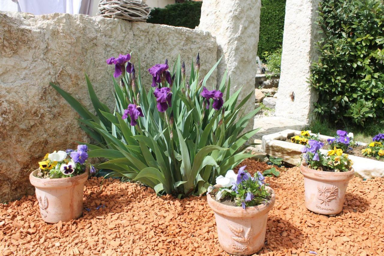 Les Trois Maisons Druillat Luaran gambar